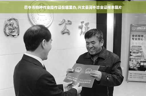 巴中市特种作业操作证在哪里办,兴文县高中毕业证样本图片