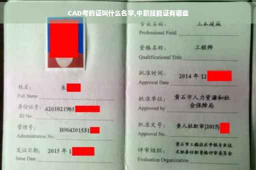CAD考的证叫什么名字,中职技能证有哪些