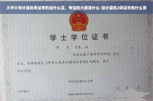大学大专计算机考试考的是什么证，考试的大纲是什么-你计算机2级证书有什么用