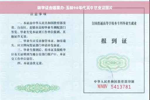 转学证去哪里办-玉林90年代高中毕业证图片
