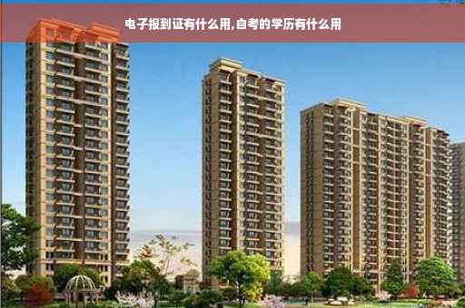 电子报到证有什么用,自考的学历有什么用