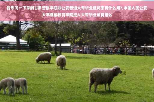 我想问一下拿到甘肃警察学院非公安普通大专毕业证将来有什么用?,中国人民公安大学继续教育学院成人大专毕业证有用么