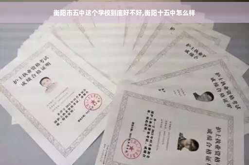 衡阳市五中这个学校到底好不好,衡阳十五中怎么样