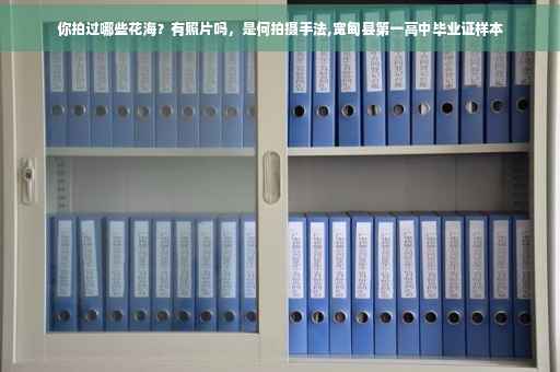 你拍过哪些花海？有照片吗，是何拍摄手法,宽甸县第一高中毕业证样本