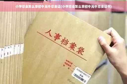 小学毕业怎么拿初中高中毕业证(小学毕业怎么拿初中高中毕业证书)