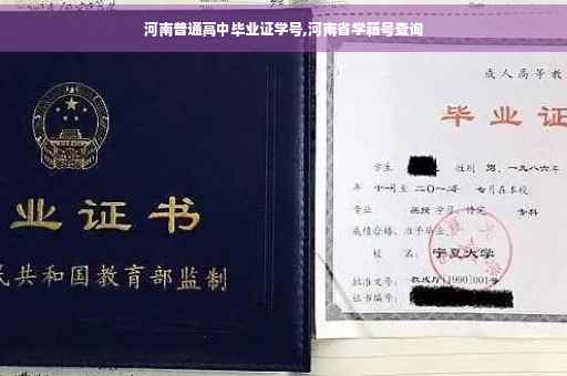河南普通高中毕业证学号,河南省学籍号查询