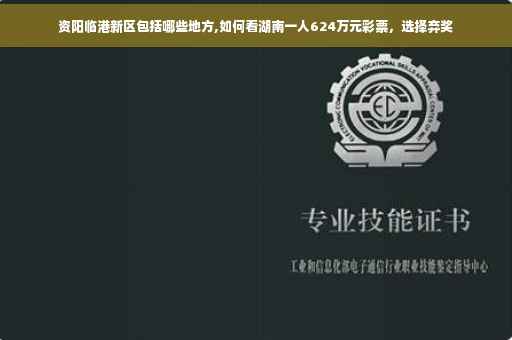 资阳临港新区包括哪些地方,如何看湖南一人624万元彩票，选择弃奖