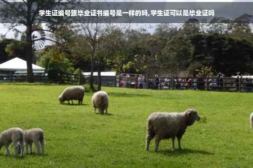 学生证编号跟毕业证书编号是一样的吗,学生证可以是毕业证吗 学生证编号跟毕业证书编号是一样的吗,学生证可以是毕业证吗