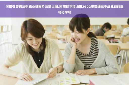 河南省普通高中毕业证图片高清大图,河南省平顶山市2002年普通高中毕业证的编号和学号