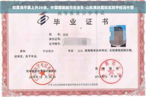 如果海平面上升20米，中国哪些城市会消失-山东潍坊美加实验学校高中部