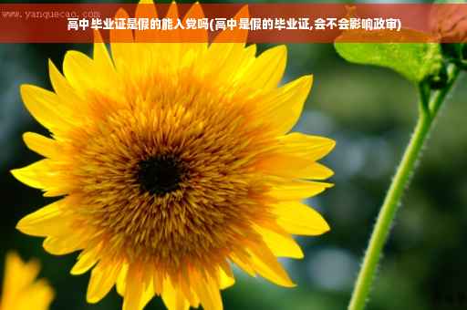 高中毕业证是假的能入党吗(高中是假的毕业证,会不会影响政审)