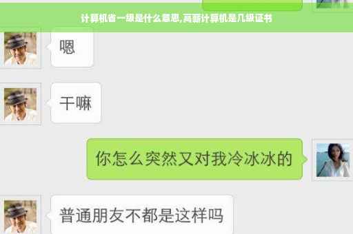 计算机省一级是什么意思,高薪计算机是几级证书