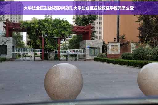 大学毕业证发放权在学校吗,大学毕业证发放权在学校吗怎么查