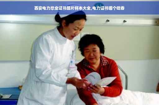 西安电力毕业证书图片样本大全,电力证书哪个吃香