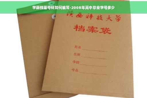 学籍档案号码如何编写-2008年高中毕业学号多少