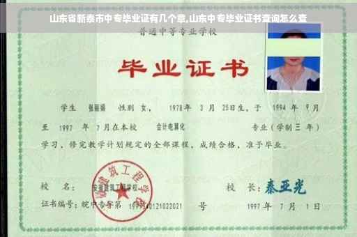 山东省新泰市中专毕业证有几个章,山东中专毕业证书查询怎么查