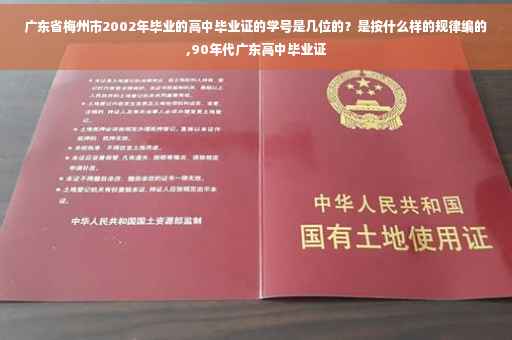 广东省梅州市2002年毕业的高中毕业证的学号是几位的？是按什么样的规律编的,90年代广东高中毕业证