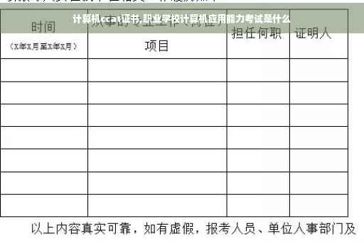 计算机ccat证书,职业学校计算机应用能力考试是什么