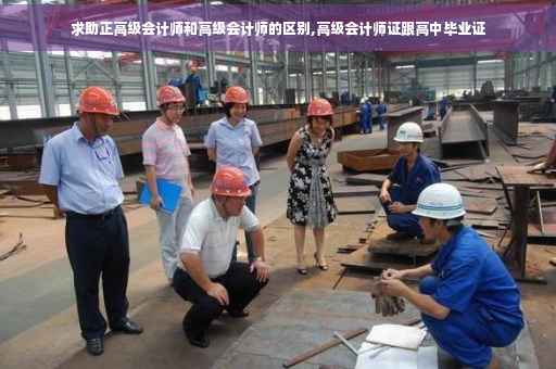 求助正高级会计师和高级会计师的区别,高级会计师证跟高中毕业证