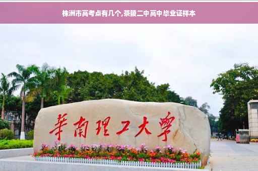 株洲市高考点有几个,茶陵二中高中毕业证样本