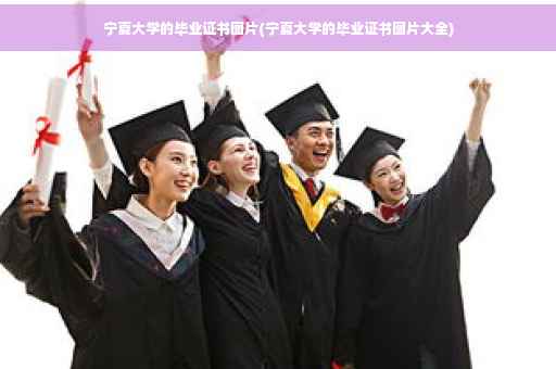 宁夏大学的毕业证书图片(宁夏大学的毕业证书图片大全)