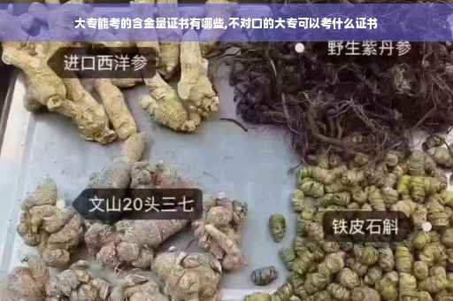 大专能考的含金量证书有哪些,不对口的大专可以考什么证书