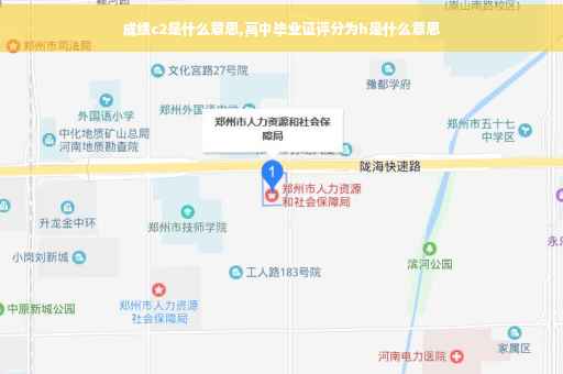 成绩c2是什么意思,高中毕业证评分为h是什么意思