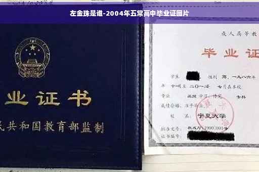 左金珠是谁-2004年五常高中毕业证图片