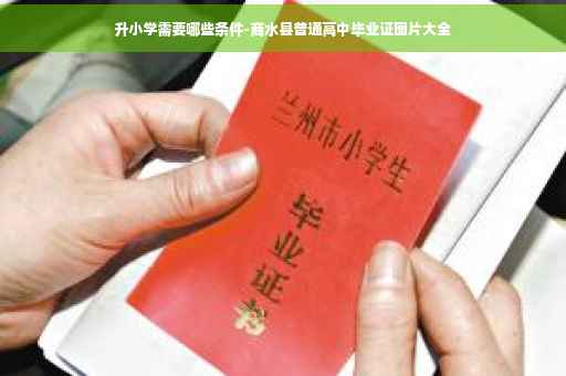 升小学需要哪些条件-商水县普通高中毕业证图片大全