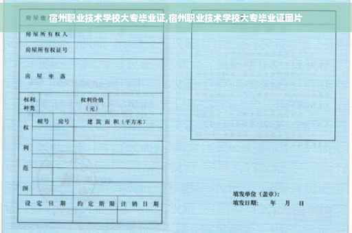 宿州职业技术学校大专毕业证,宿州职业技术学校大专毕业证图片