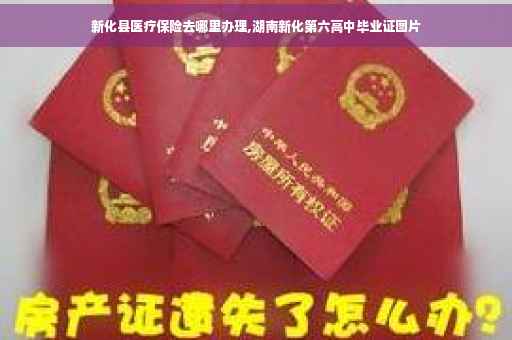 新化县医疗保险去哪里办理,湖南新化第六高中毕业证图片