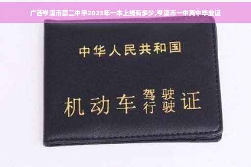 广西岑溪市第二中学2023年一本上线有多少,岑溪市一中高中毕业证