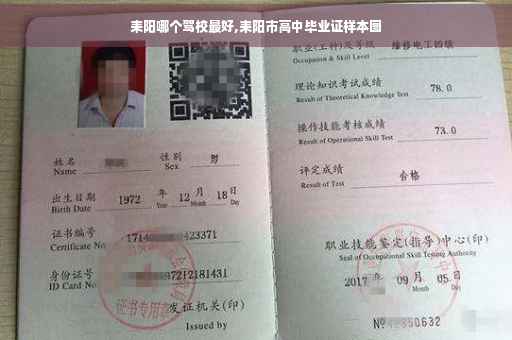 耒阳哪个驾校最好,耒阳市高中毕业证样本图