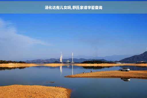 汤化达有儿女吗,舒氏家谱字辈查询