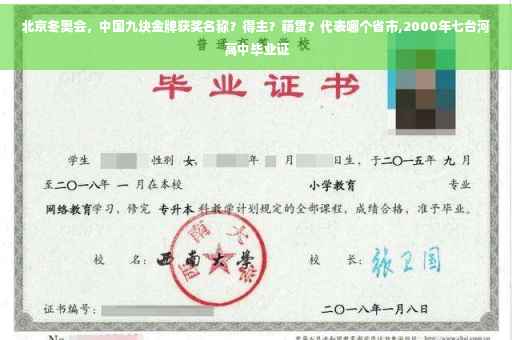 北京冬奥会，中国九块金牌获奖名称？得主？籍贯？代表哪个省市,2000年七台河高中毕业证