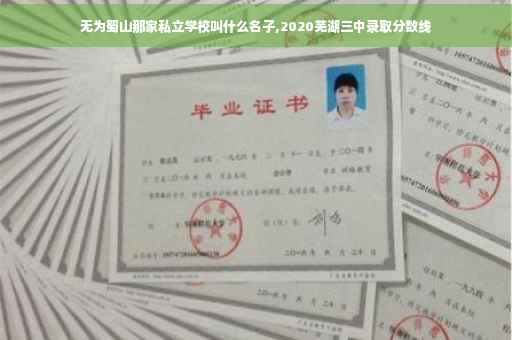 无为蜀山那家私立学校叫什么名子,2020芜湖三中录取分数线