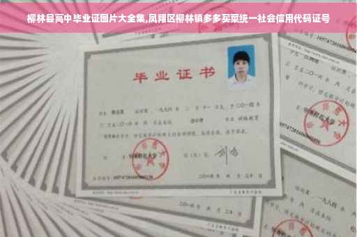 柳林县高中毕业证图片大全集,凤翔区柳林镇多多买菜统一社会信用代码证号