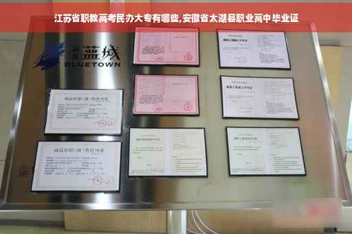 江苏省职教高考民办大专有哪些,安徽省太湖县职业高中毕业证