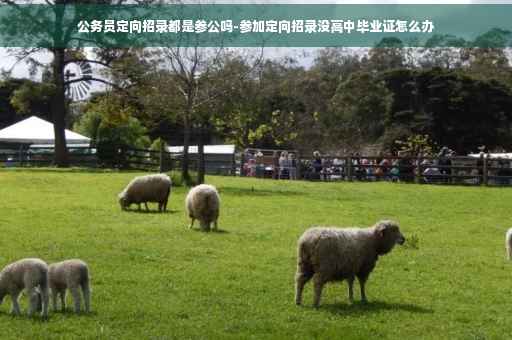 公务员定向招录都是参公吗-参加定向招录没高中毕业证怎么办