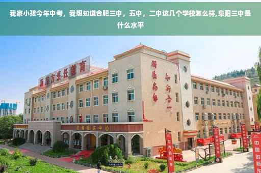 我家小孩今年中考，我想知道合肥三中，五中，二中这几个学校怎么样,阜阳三中是什么水平