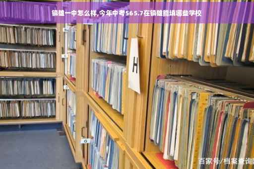 镇雄一中怎么样,今年中考565.7在镇雄能填哪些学校