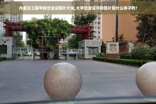 内蒙古工程学校毕业证图片大全,大学毕业证书的图片是什么样子的?