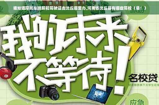 谁知道摩托车牌照和驾驶证去沈丘哪里办,河南省沈丘县有哪些驾校（急！）