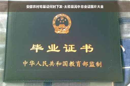 安徽农村宅基证何时下发-太和县高中毕业证图片大全
