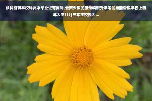 预科能转学校吗高中毕业证有用吗,云南少数民族预科班升学考试后能否换学校上四年大学???(三本学校换为...