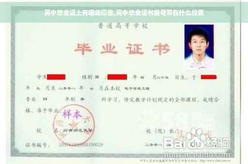 高中毕业证上有哪些印章,高中毕业证书编号写在什么位置