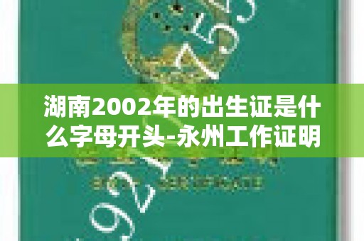 湖南2002年的出生证是什么字母开头-永州工作证明在哪里开