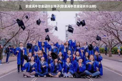 职业高中毕业证什么样子(职业高中毕业证长什么样) 职业高中毕业证什么样子(职业高中毕业证长什么样)