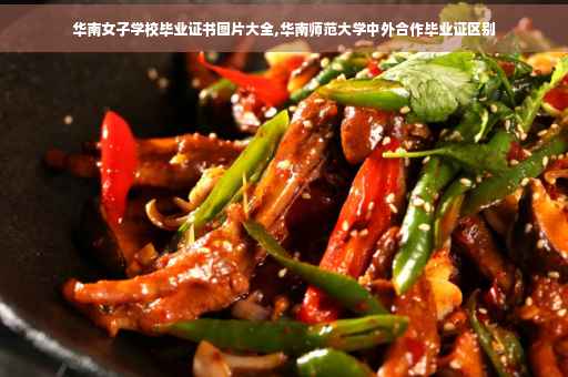 华南女子学校毕业证书图片大全,华南师范大学中外合作毕业证区别
