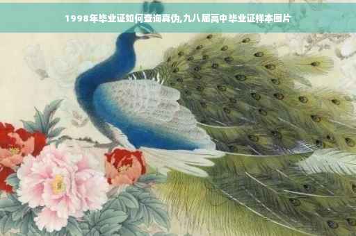 1998年毕业证如何查询真伪,九八届高中毕业证样本图片